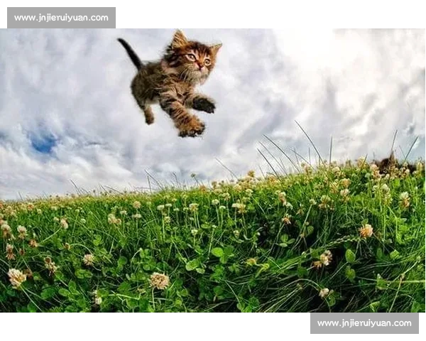 小扑震撼全网！这部生态纪录片让无数人泪目